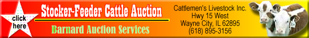 auctions and auctioneers list found here